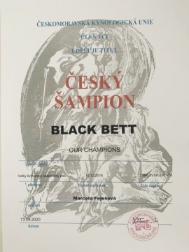 Black Bett - český šampion