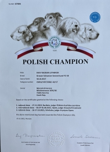 Polský šampion